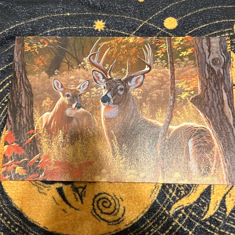 Deer decor from bass pro shops